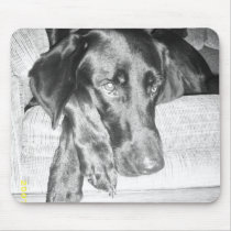 kodi mousepads by evelynelailani kodi mousepads