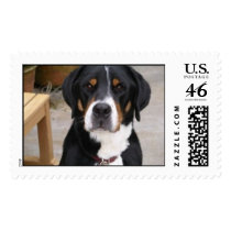 Kodi postage