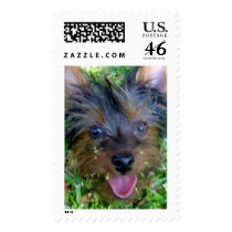 Kodi postage by dfrare Kodi postage