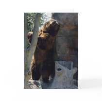 Kodiak back scratch cards by amwesley Kodiak back scratch cards