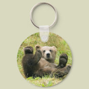 Kodiak Bear Cub Gifts