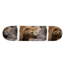 Kodiak Bear Skateboard