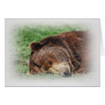 Kodiak Bear Sleeping Card