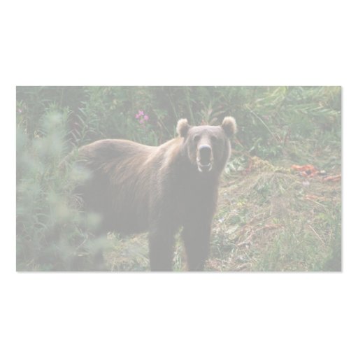 Kodiak Brown Bear Business Card Template (back side)