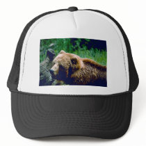 Kodiak Brown Bear Hat