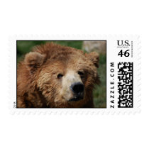 Kodiak Brown Bear Postage