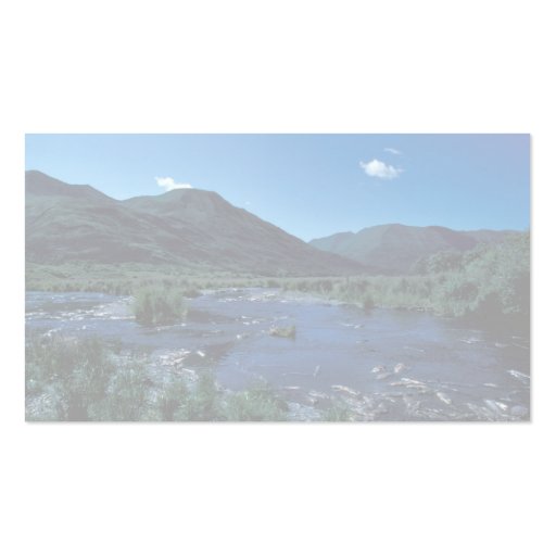 Kodiak Stream and Mountains in Summer Business Card (back side)