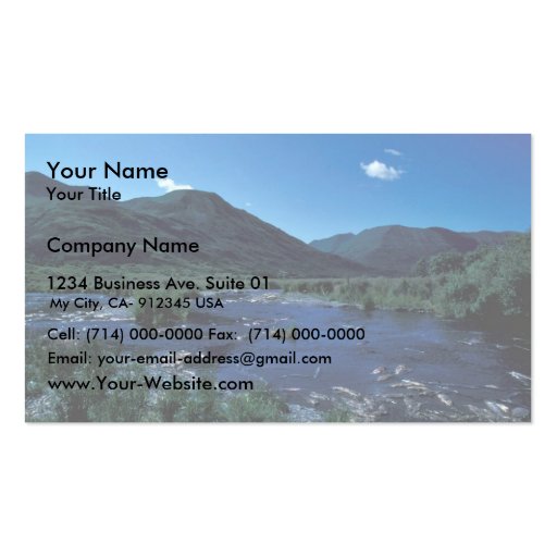 Kodiak Stream and Mountains in Summer Business Card