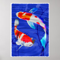 Kohaku Duo in Deep Blue Pond Print