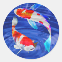 Kohaku Duo in Deep Blue Pond Stickers