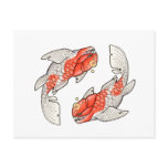 Kohaku koi postcard