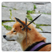 Kohaku Square Wall Clock
