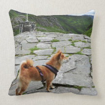 Kohaku Throw Pillow