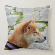 Kohaku pillows