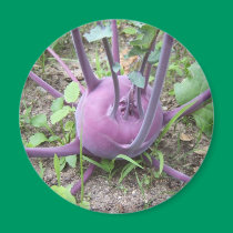 Kohlrabi 123 ~ Mag magnets