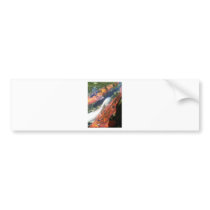 Koi 9 By Bernadette Sebastiani bumper stickers