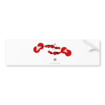 KOI And KANJI Bumper Stickers bumper stickers