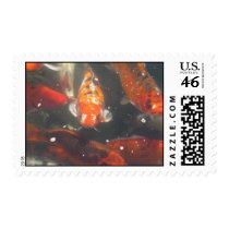 Koi and Pond Picture postage by all_creatures Koi and Pond Picture postage