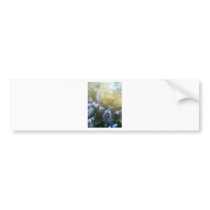Koi and water By Bernadette Sebastiani bumper stickers