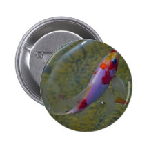 Koi Buttons