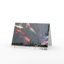 Koi cards