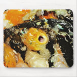 Koi Fish (3) Mousepad