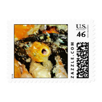 Koi Fish (3) Postage Stamps