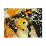 Koi Fish (3) Postcard