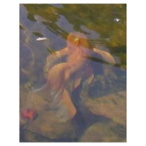 Koi Fish flyers