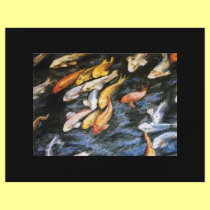 Koi Fish Flyer
