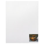 Koi Fish In Pond Photograph letterhead