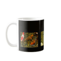 koi fish mugs