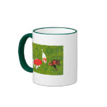 koi fish painting, mug, cup