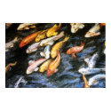 Koi Fish Painting Poster Art Print by donnabellas Koi Fish Painting Poster Art Print