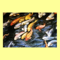 Koi Fish Painting Poster Art Print