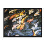 Koi Fish Postcard