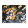 Koi Fish Postcard