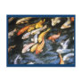 Koi Fish Postcard