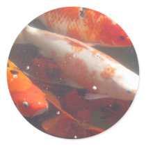 Koi Fish stickers by all_creatures Koi Fish stickers