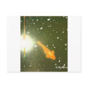 Koi Flash postcard