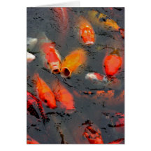 Koi Greeting Card
