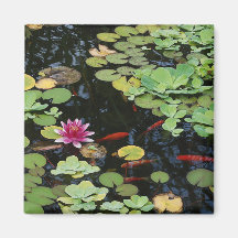 Koi Pond Magnet