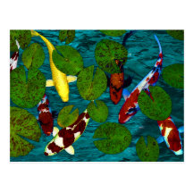 KOI POND POST CARD