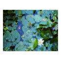 Koi Pond Poster posters by MyBackyard Koi Pond Poster posters