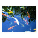 Koi Poster posters by xgrace1882 Koi Poster posters