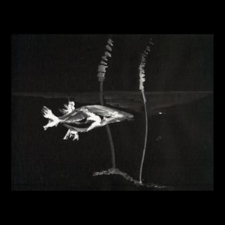 Koi Posters