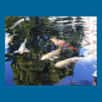 Koi posters