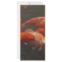 koi rack card template