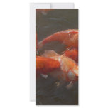 koi rack cards