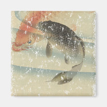 Koi Refrigerator Magnets